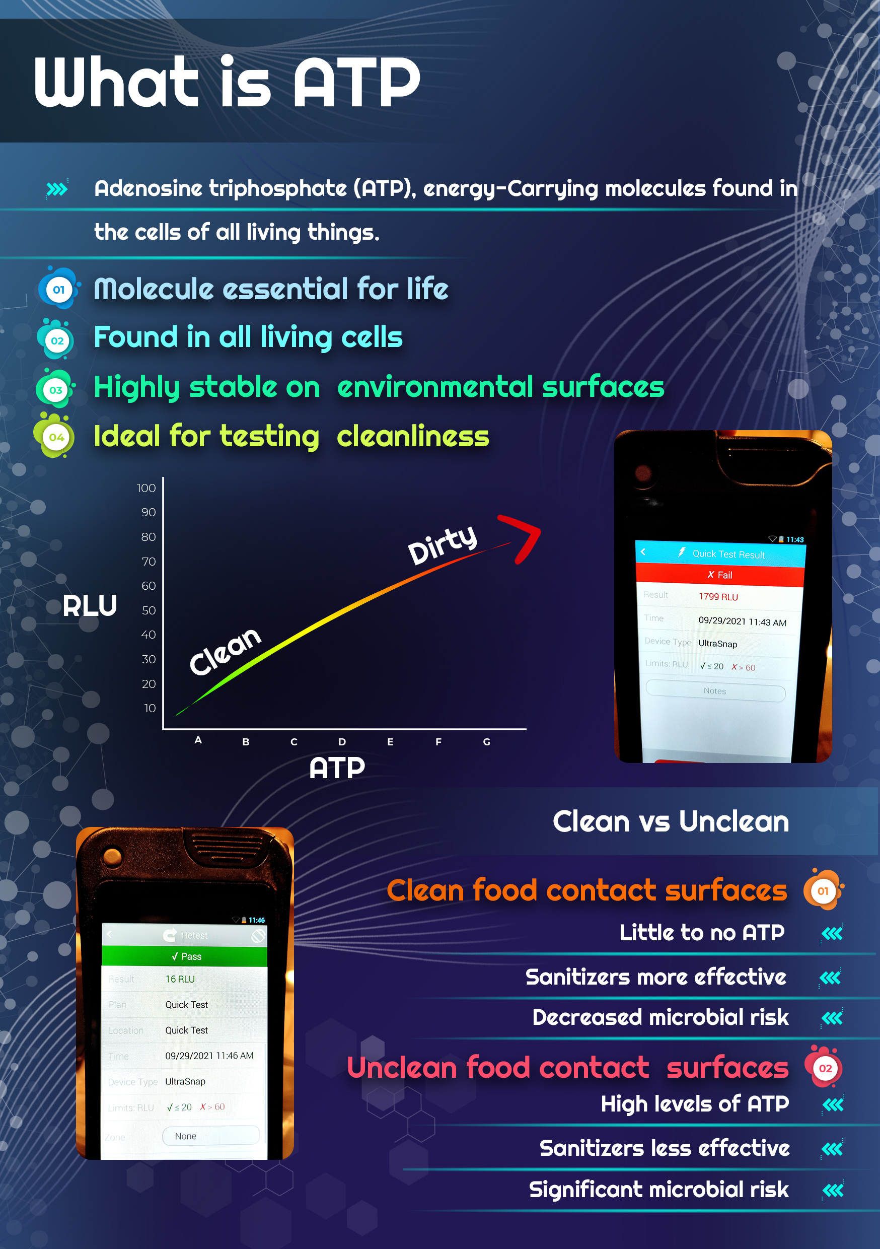 vedashield sanitizing solution